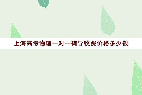 上海高考物理一对一辅导收费价格多少钱(高三物理一对一补课多少钱)