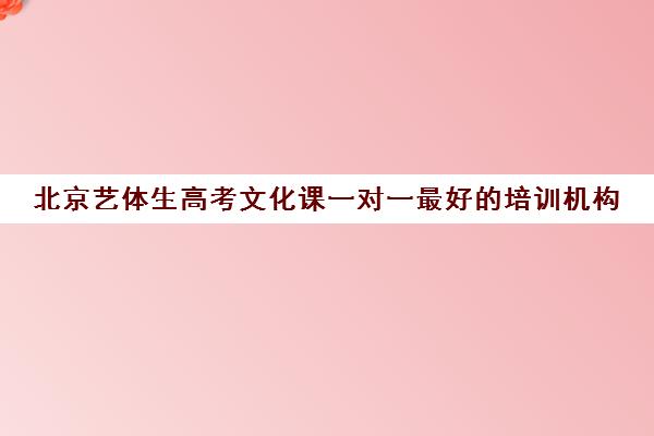 北京艺体生高考文化课一对一最好的培训机构(北京艺考文化课辅导班哪家好)