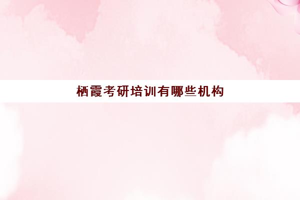 栖霞考研培训有哪些机构(南京有什么考研机构比较好)