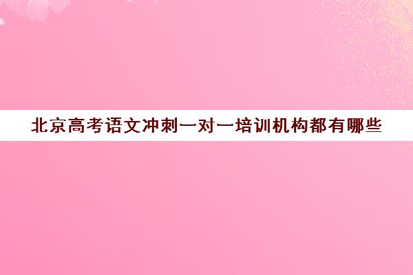 北京高考语文冲刺一对一培训机构都有哪些(高三冲刺辅导班哪家好)