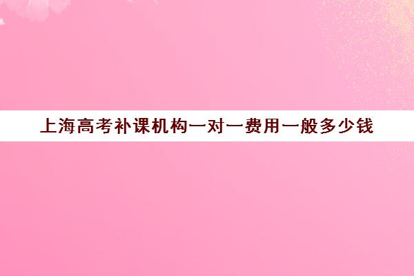 上海高考补课机构一对一费用一般多少钱(上海比较好的补课机构)