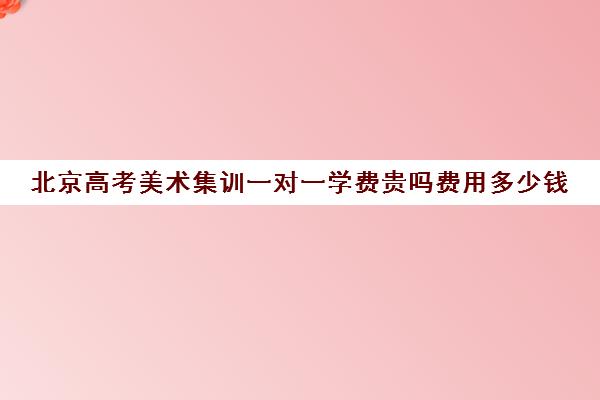 北京高考美术集训一对一学费贵吗费用多少钱(美术宝一对一怎么收费)