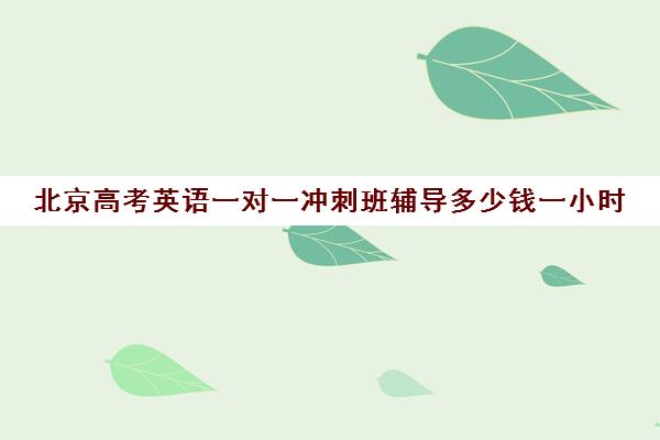 北京高考英语一对一冲刺班辅导多少钱一小时(高考冲刺班一般收费)