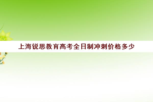 上海锐思教育高考全日制冲刺价格多少(上海精锐一对一收费标准)