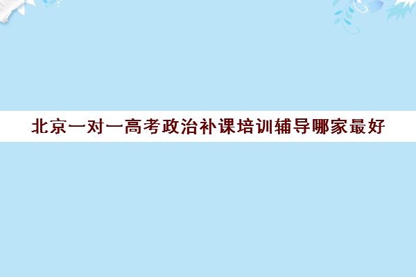 北京一对一高考政治补课培训辅导哪家最好(高考辅导在线教育哪家好)