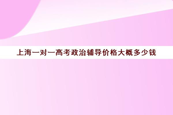 上海一对一高考政治辅导价格大概多少钱(高三一对一辅导价格表)