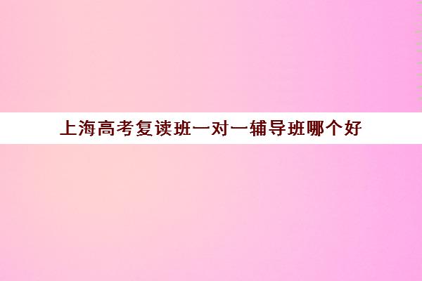 上海高考复读班一对一辅导班哪个好(上海高考补课机构排名)