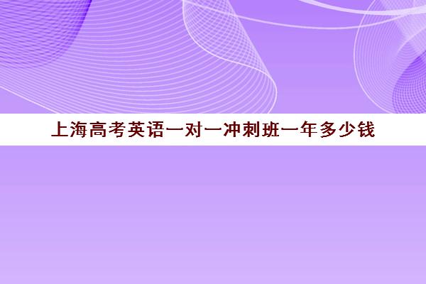 上海高考英语一对一冲刺班一年多少钱(上海高考教辅推荐)