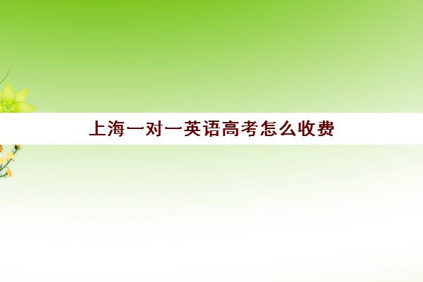 上海一对一英语高考怎么收费(上海高三一对一辅导价格表)