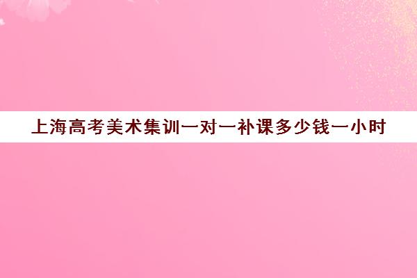 上海高考美术集训一对一补课多少钱一小时(一对一补课多久有效果)