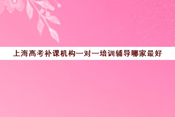 上海高考补课机构一对一培训辅导哪家最好(上海高考一对一价格)