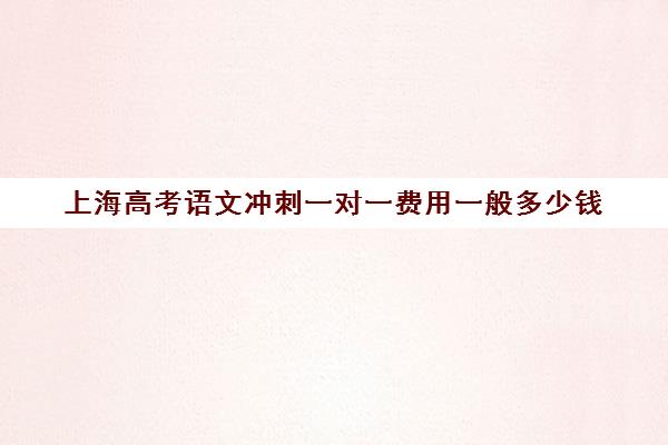 上海高考语文冲刺一对一费用一般多少钱(精锐一对一收费标准)