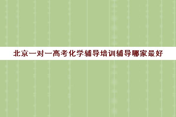 北京一对一高考化学辅导培训辅导哪家最好(一对一辅导有效果吗)