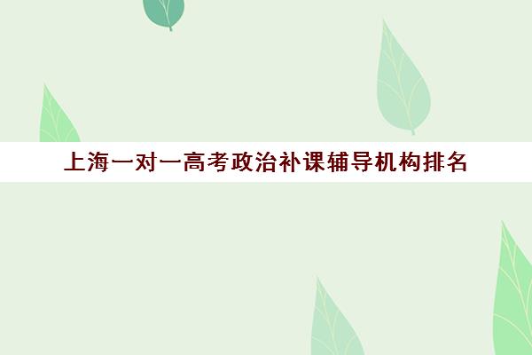 上海一对一高考政治补课辅导机构排名