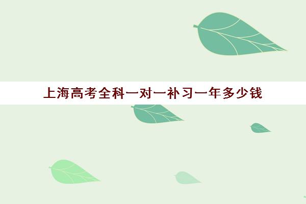 上海高考全科一对一补习一年多少钱