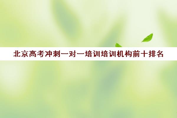 北京高考冲刺一对一培训培训机构前十排名(最好的高考培训机构)