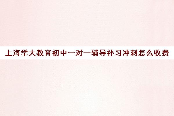 上海学大教育初中一对一辅导补习冲刺怎么收费