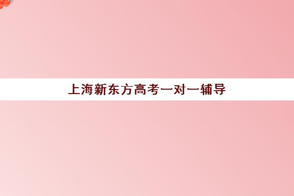 上海新东方高考一对一辅导(新东方一对一补课有效果吗)