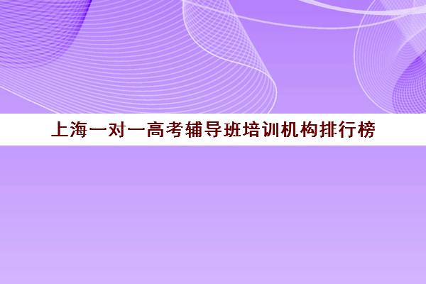 上海一对一高考辅导班培训机构排行榜(上海比较好的补课机构)