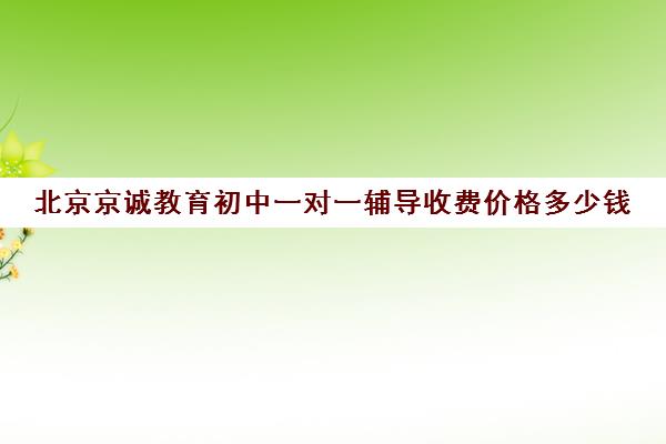 北京京诚教育初中一对一辅导收费价格多少钱(北京补课一对一价格)