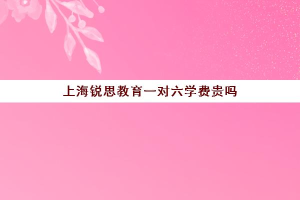 上海锐思教育一对六学费贵吗（上海初中一对一家教费用是多少）