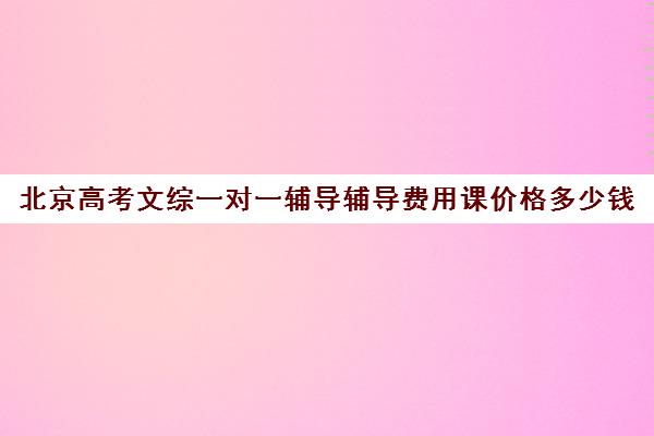 北京高考文综一对一辅导辅导费用课价格多少钱(家教辅导一对一收费)