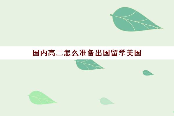 国内高二怎么准备出国留学美国(高二留学来得及准备吗)