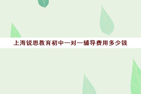 上海锐思教育初中一对一辅导费用多少钱（上海补课机构排名）