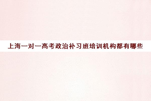 上海一对一高考政治补习班培训机构都有哪些