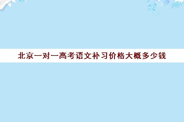 北京一对一高考语文补习价格大概多少钱