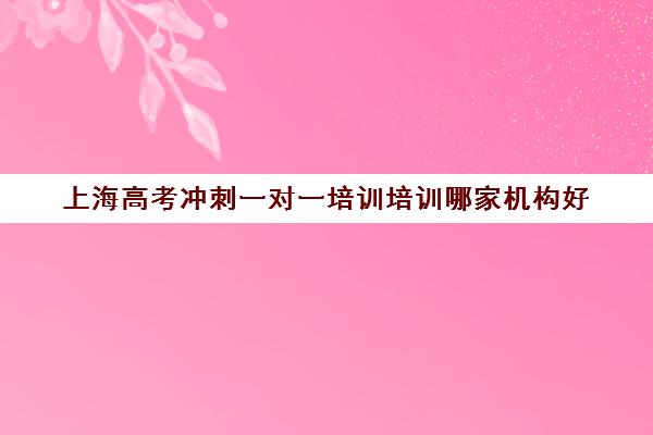 上海高考冲刺一对一培训培训哪家机构好(徐州有没有好的高考冲刺机构)