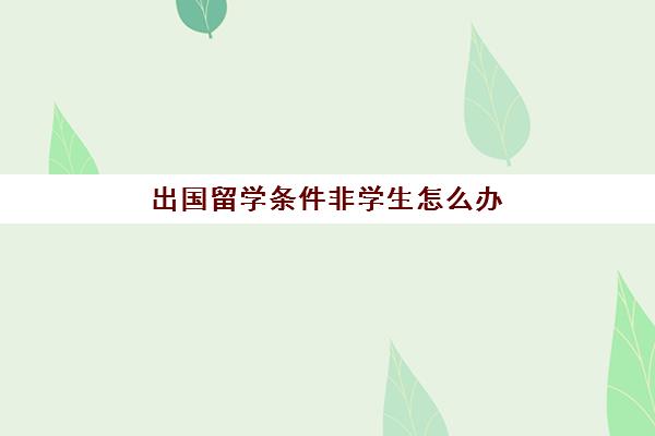 出国留学条件非学生怎么办(留学申请条件需要什么)