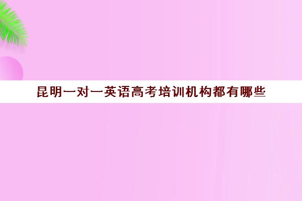 昆明一对一英语高考培训机构都有哪些(纯外教的英语培训机构)