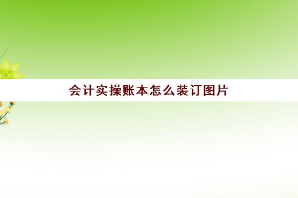 会计实操账本怎么装订图片(装订账本怎样穿线)