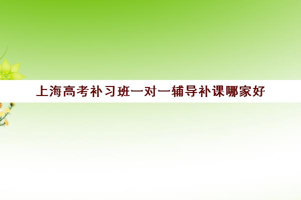 上海高考补习班一对一辅导补课哪家好