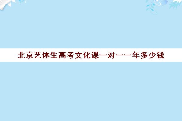 北京艺体生高考文化课一对一一年多少钱(北京艺考培训班收费一般多少)