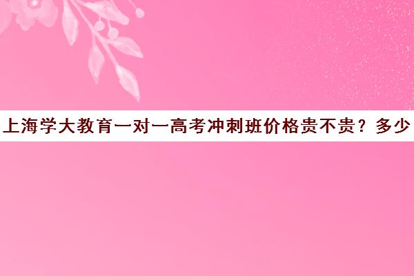 上海学大教育一对一高考冲刺班价格贵不贵？多少钱一年（一对一价格大概是多少）