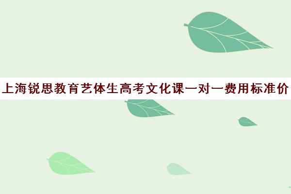 上海锐思教育艺体生高考文化课一对一费用标准价格表（上海艺承明鑫艺考学费）