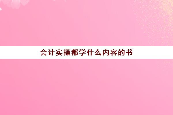 会计实操都学什么内容的书(自学会计需要哪些书)