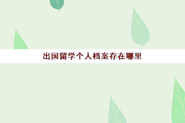 出国留学个人档案存在哪里(出国留学危险吗)