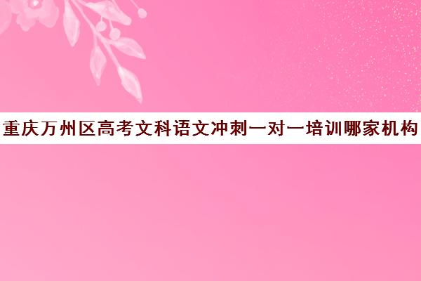 重庆万州区高考文科语文冲刺一对一培训哪家机构好(万州培训机构有哪些)