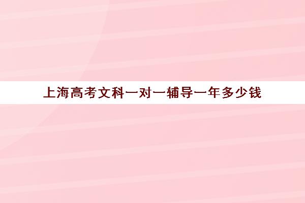 上海高考文科一对一辅导一年多少钱(上海高考补课机构排名)