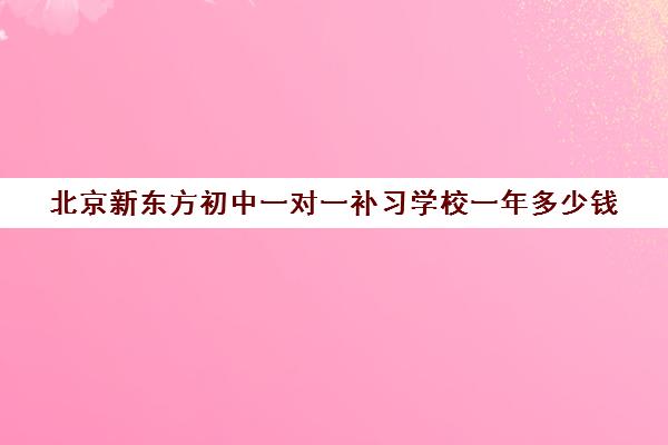 北京新东方初中一对一补习学校一年多少钱