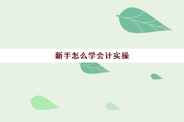 新手怎么学会计实操(一个新手如何自学会计)