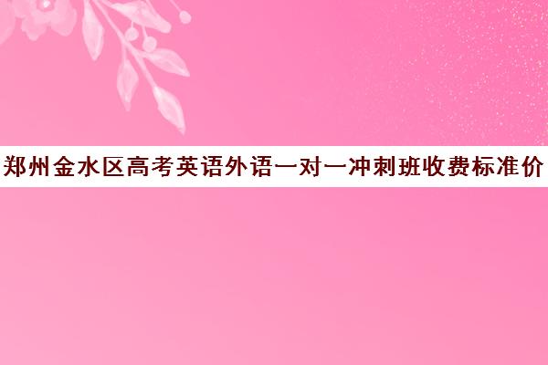 郑州金水区高考英语外语一对一冲刺班收费标准价格一览(郑州高考一对一辅导)