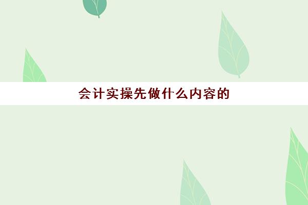 会计实操先做什么内容的(基础会计主要学什么)