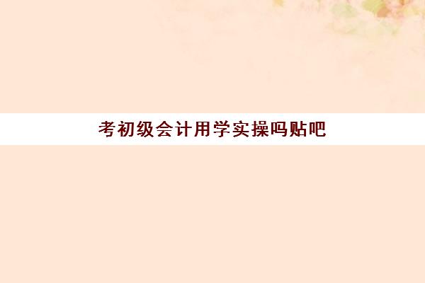 考初级会计用学实操吗贴吧(会计初级考试视频课程)