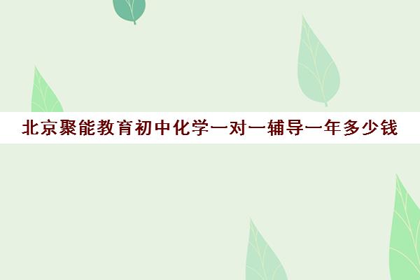 北京聚能教育初中化学一对一辅导一年多少钱（初三化学补课一对一）