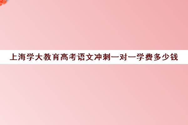 上海学大教育高考语文冲刺一对一学费多少钱（一对一辅导收费）