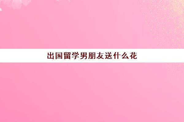 出国留学男朋友送什么花(近年来花重金送低龄子女出国留学)